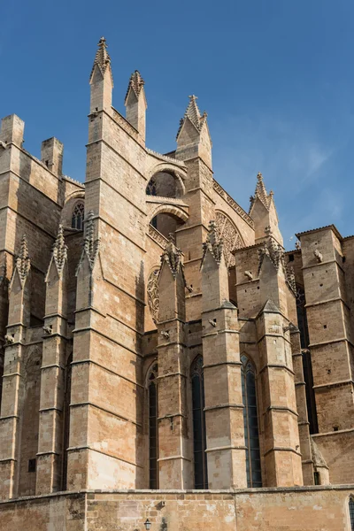 Dome of Palma de Mallorca — Stock Photo, Image