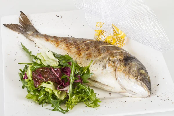 Peixe Dorada com salada no prato branco. Estúdio — Fotografia de Stock