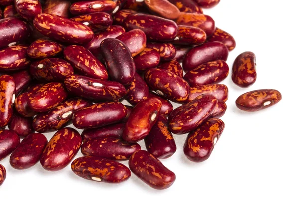 beyaz zemin üzerine barbunya fasulyesi
