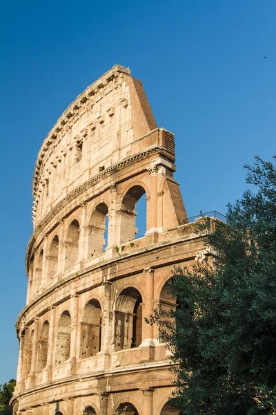 Colosseum di Roma, italy — Stok Foto