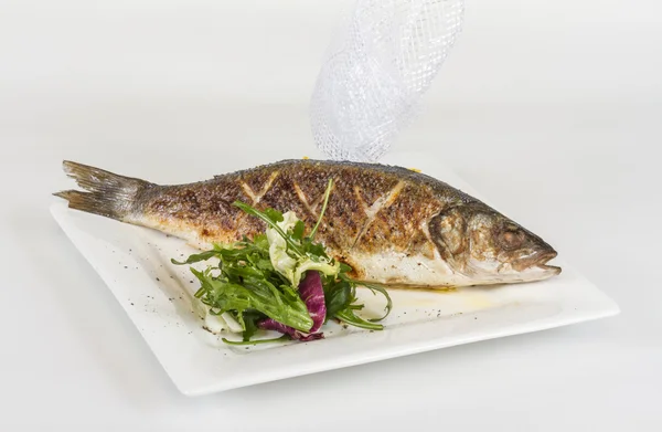 Sea-bass with vegetables — Stock Photo, Image