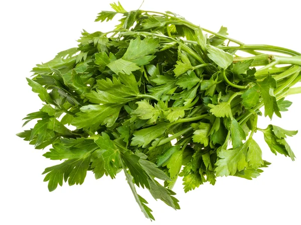 A bunch of parsley on a white background — Stock Photo, Image