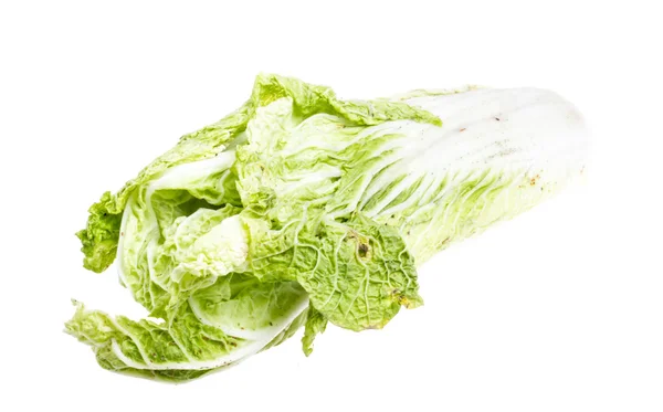 Chinese cabbage on white background — Stock Photo, Image