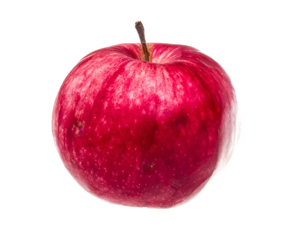 Piros alma elszigetelt fehér háttér — Stock Fotó