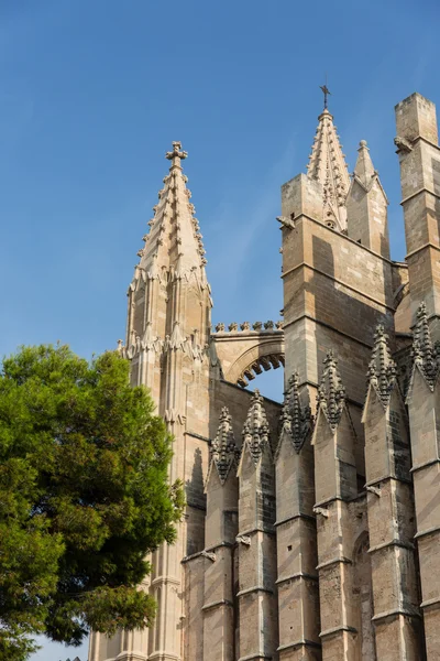 Cúpula de Palma de Mallorca — Foto de Stock