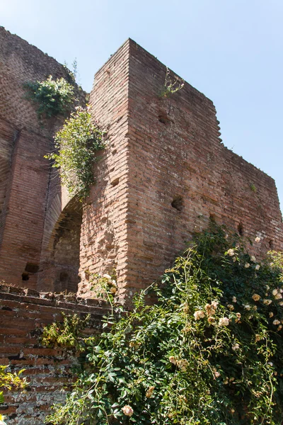 Římské ruiny v Římě, forum — Stock fotografie