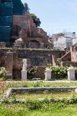 Roma harabeleri, forum