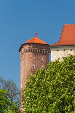 wawel, krakow, Royal castle
