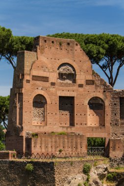 Roma harabeleri, forum