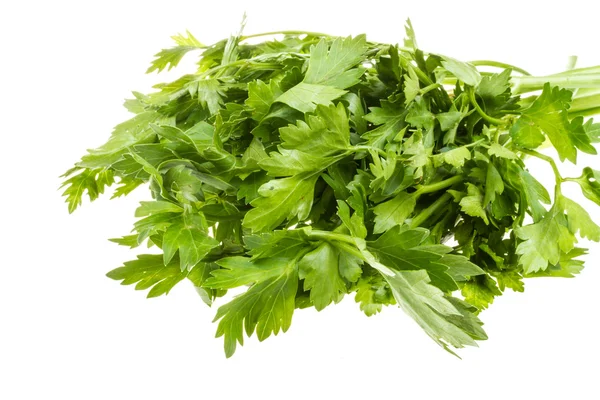 A bunch of parsley on a white background — Stock Photo, Image