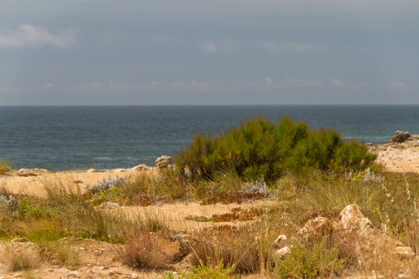 Beach on Atlantic Ocean Coast in Stormy weather near Lisbon, Por — Stock Photo, Image