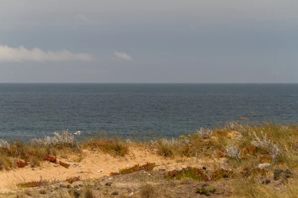 Praia na Costa do Oceano Atlântico em Tempestade meteorológica perto de Lisboa, Por — Fotografia de Stock