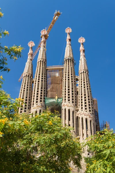 BARCELONA, SPAIN -JUNE 25: Sagrada Familia on JUNE 25, 2012: La — Stock Photo, Image