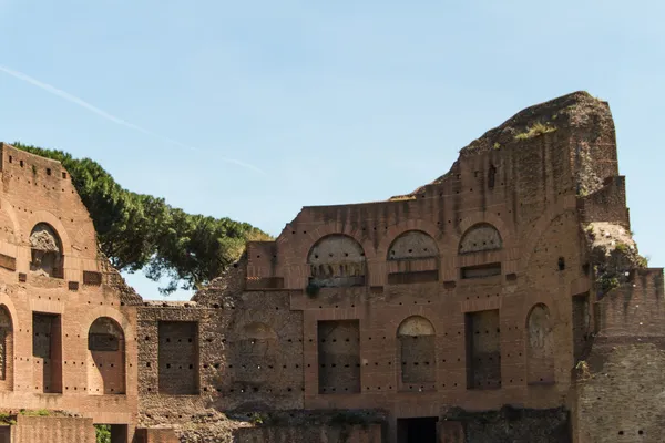 Roman ruins in Rome, Forum Royalty Free Stock Images