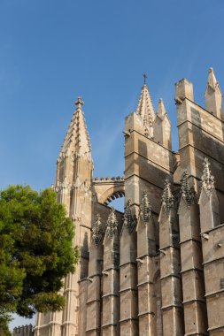 kubbe palma de Mallorca, İspanya