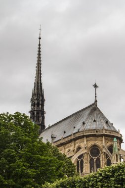 Notre Dame (Paris)