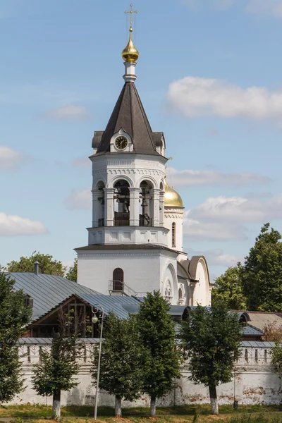 Catedral ortodoxa Rogdestvensky en Vladimir (Rusia ) —  Fotos de Stock