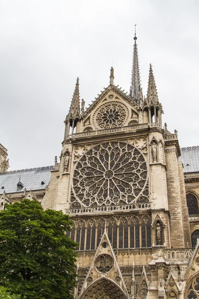 Notre dame (Paris)) — Stockfoto