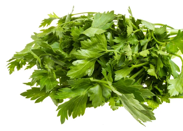 A bunch of parsley on a white background — Stock Photo, Image