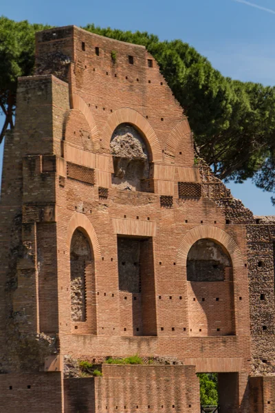 Roman ruins in Rome, Forum Royalty Free Stock Photos