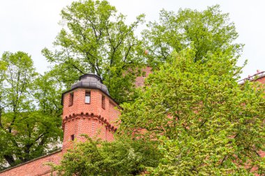 wawel, krakow, Royal castle