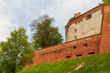 wawel, krakow, Royal castle
