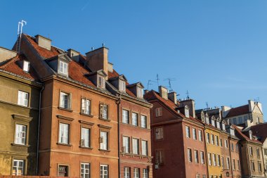 atlar, vektör