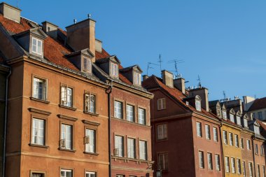 atlar, vektör