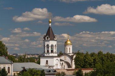 Vladimir (Rusya Ortodoks Rogdestvensky Katedrali)