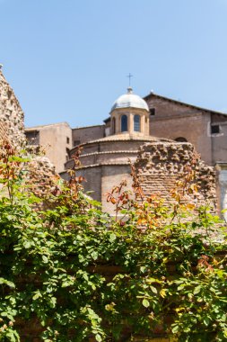 Roma harabeleri, forum
