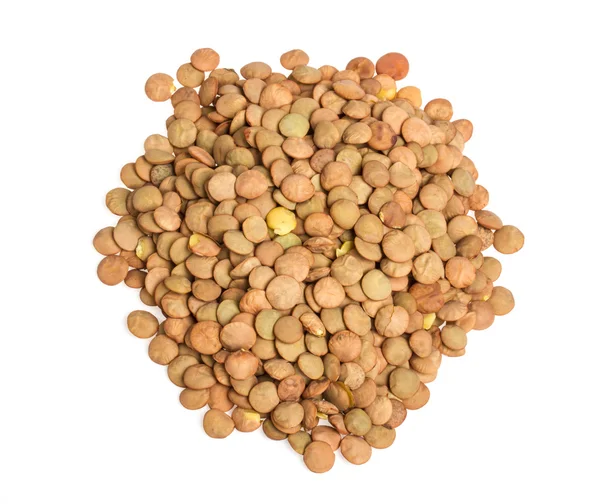 Lentils Isolated on White Background — Stock Photo, Image