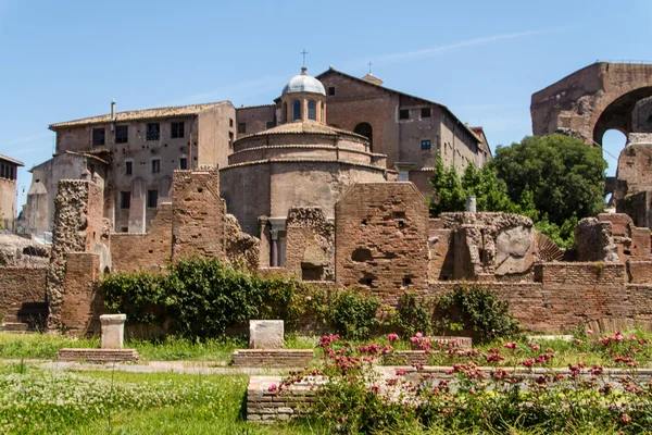 Roma harabeleri, forum — Stok fotoğraf