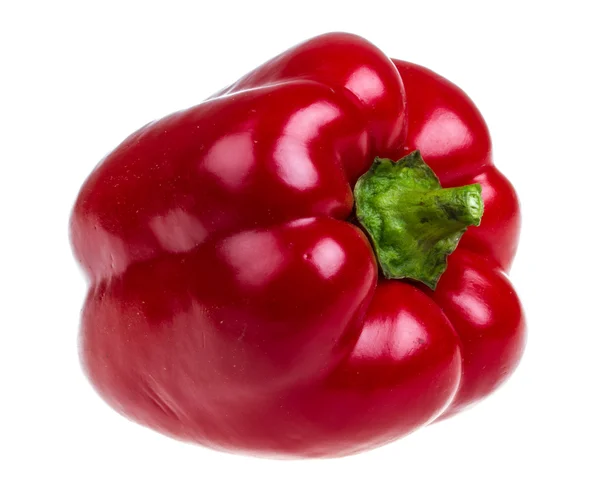 Яркий красный перец изолирован на белом — стоковое фото