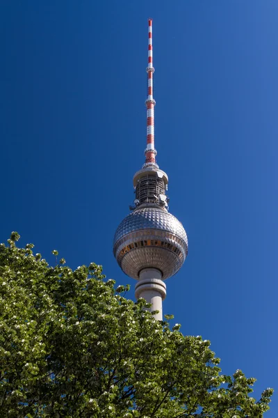 Widok centrum Berlina — Zdjęcie stockowe
