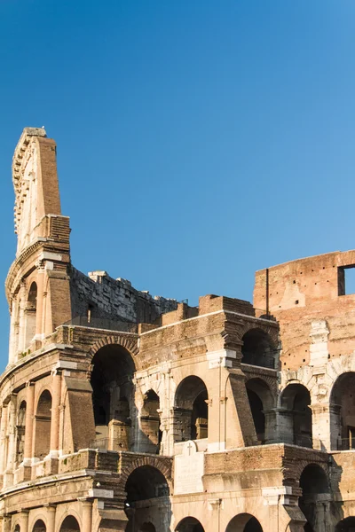 Roma 'da kolezyum, İtalya — Stok fotoğraf