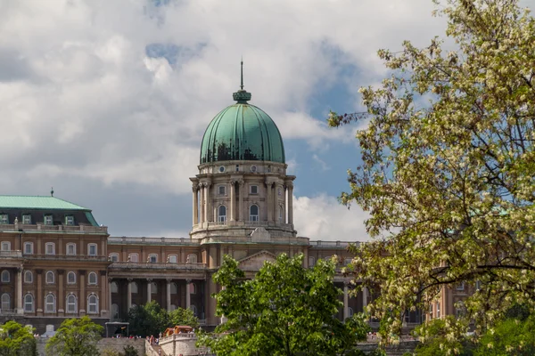 Histórico Palacio Real de Budapest — Foto de Stock