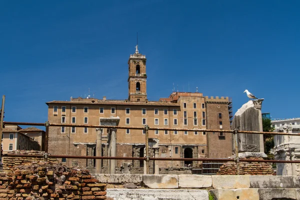 Roman ruins in Rome, Forum — Stock Photo, Image