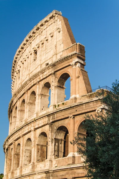 Kolosseum i krom, itali — Stockfoto