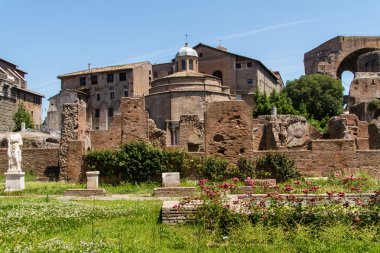 Roma harabeleri, forum