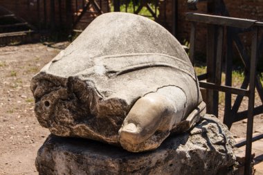 Roma harabeleri, forum
