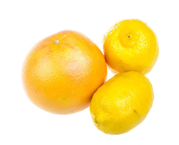 Citrusféle gyümölcsök — Stock Fotó