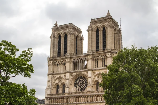 Notre Dame (París) ) — Foto de Stock
