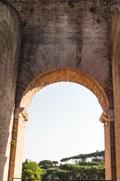 Colosseum in Rome, Olaszország — Stock Fotó