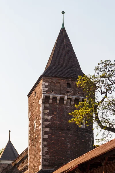 Edifício histórico em Cracóvia. Polónia — Fotografia de Stock