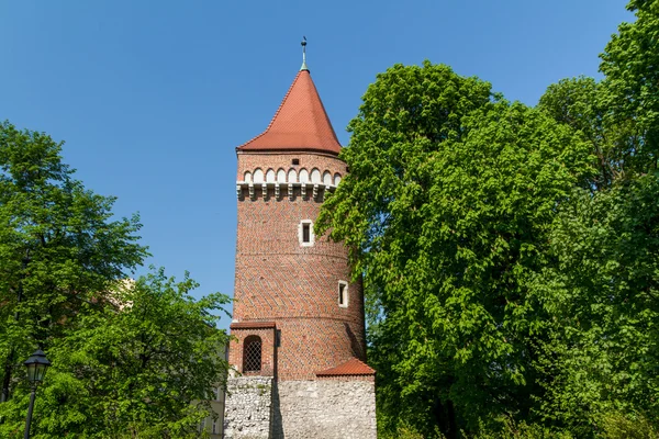 Castillo real en Wawel, Cracovia — Foto de Stock