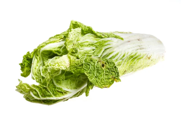 Chinese cabbage on white background — Stock Photo, Image