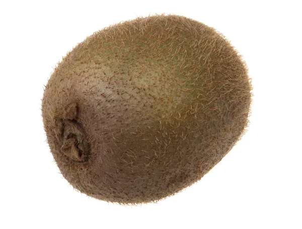 Kiwi frukt på en vit bakgrund — Stockfoto