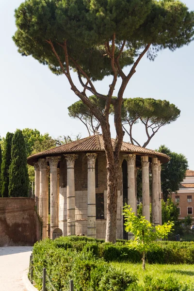 Rome - Vesta temple — Stock Photo, Image