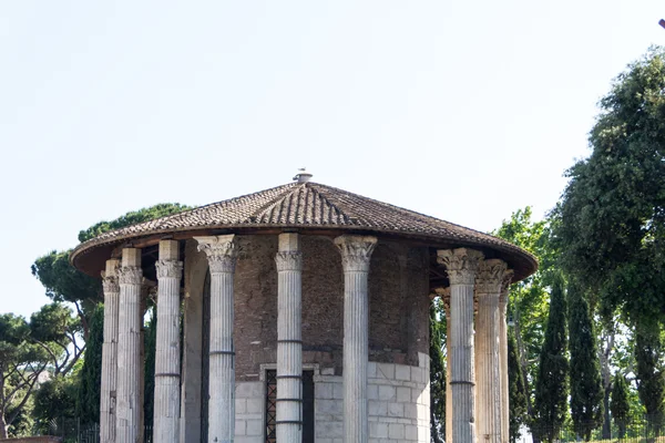 Rome - Vesta temple — Stock Photo, Image