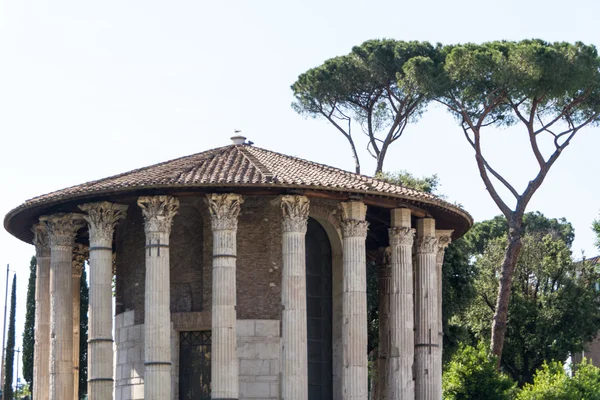 Roma - Templo de Vesta — Fotografia de Stock